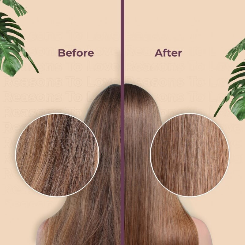 SOLT Amla Shikakai Shampoo - Enhances Hair Growth, Eliminates Dandruff & Dry Scalp, Reduces Hair Loss - Suitable for All Hair Types - Helps Strengthen, Soften, and Restore Shine - 200ml - Image 5